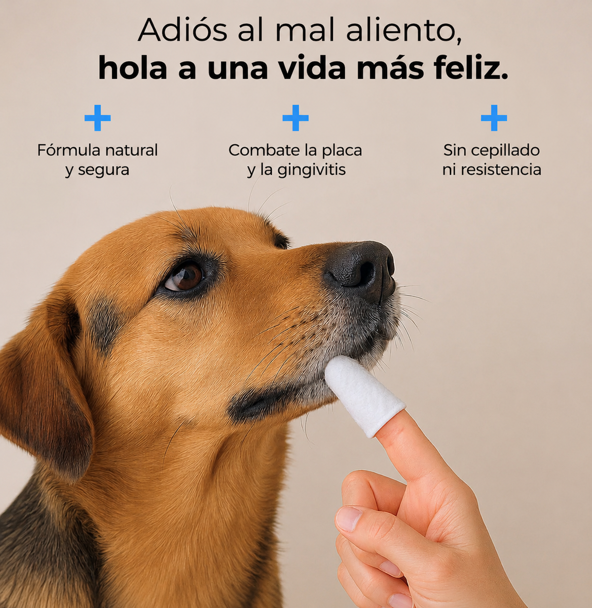 Toallitas dentales naturales para mascotas