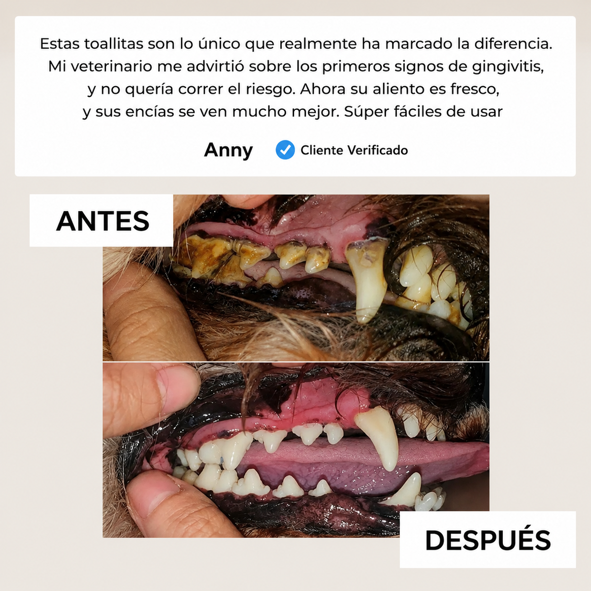 Toallitas dentales naturales para mascotas