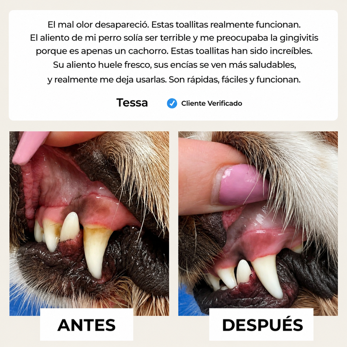Toallitas dentales naturales para mascotas