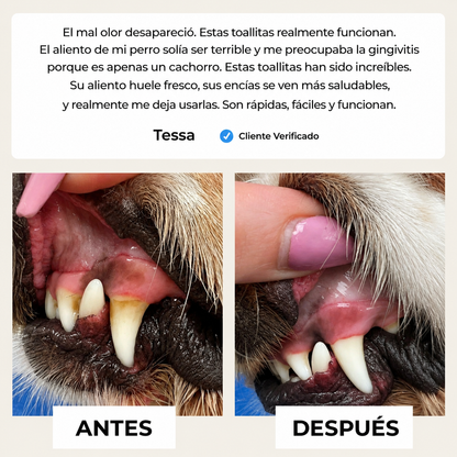 Toallitas dentales naturales para mascotas